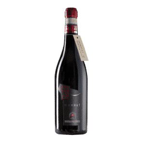 Mammut