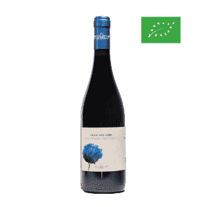Vittoria Nero d’Avola